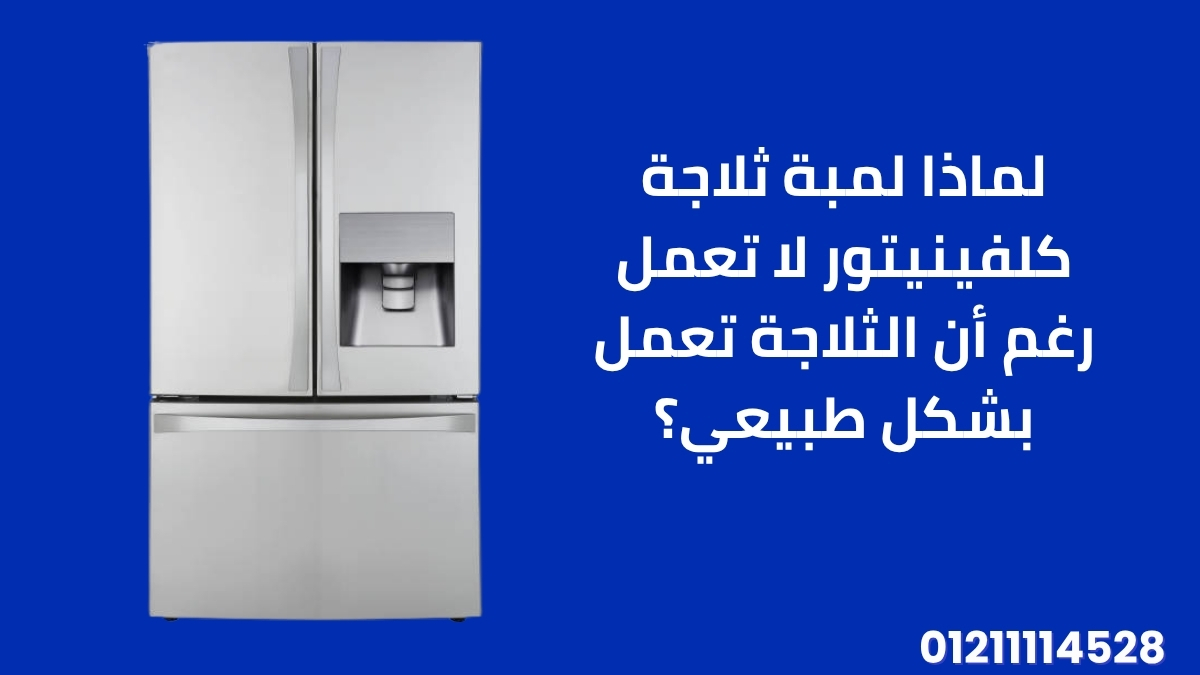لماذا لمبة ثلاجة كلفينيتور لا تعمل رغم أن الثلاجة تعمل بشكل طبيعي؟